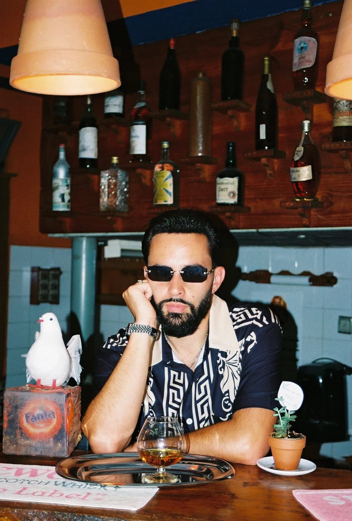 David Bruno